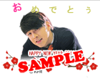 HAPPY NEW YEAR 2011☆ おめでとう！
