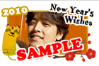 2010 New Year Wishes！